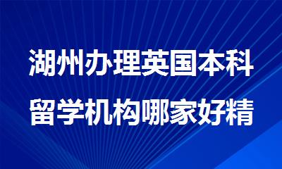 湖州办理英国本科留学机构哪家好精选名单榜首一览