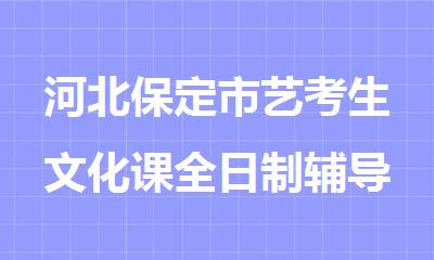 河北保定市艺考生文化课全日制辅导培训机构