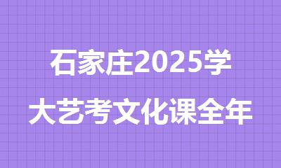 石家庄2025学大艺考文化课全年冲刺补习班