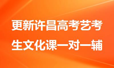 更新许昌高考艺考生文化课一对一辅导机构首推