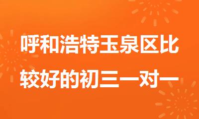 呼和浩特玉泉区比较好的初三一对一小班制辅导课程