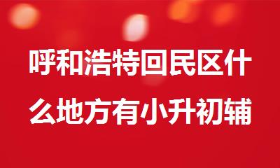 呼和浩特回民区什么地方有小升初辅导课程