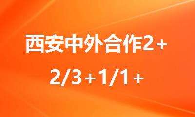 西安中外合作2+2/3+1/1+3国际本科招生啦