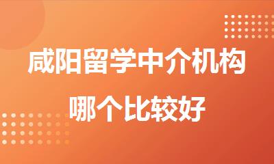 咸阳留学中介机构哪个比较好