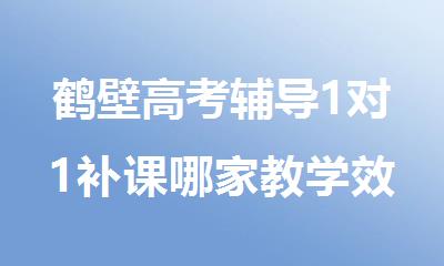 鹤壁高考辅导1对1补课哪家教学效果好