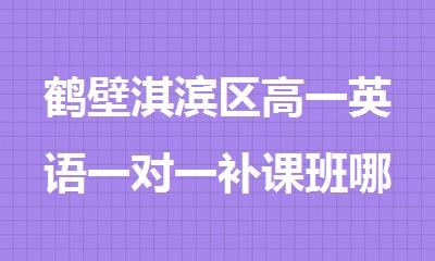 鹤壁淇滨区高一英语一对一补课班哪家好