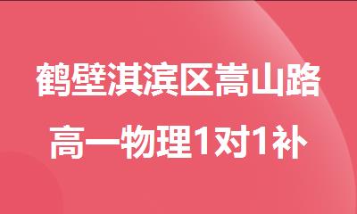 鹤壁淇滨区嵩山路高一物理1对1补课班哪家好