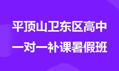 平顶山卫东区高中一对一补课暑假班火热招生
