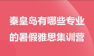 秦皇岛有哪些专业的暑假雅思集训营