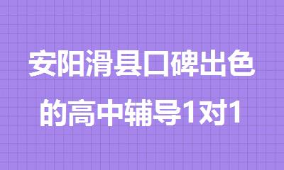 安阳滑县口碑出色的高中辅导1对1机构