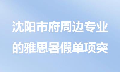 沈阳市府周边专业的雅思暑假单项突破辅导班