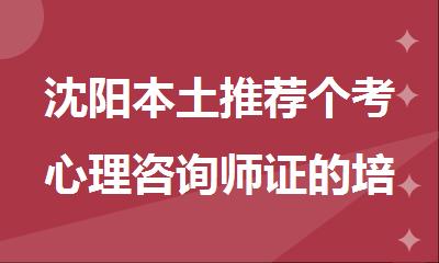 沈阳本土推荐个考心理咨询师证的培训机构