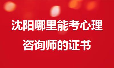 沈阳哪里能考心理咨询师的证书