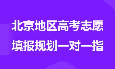北京地区高考志愿填报规划一对一指导培训机构
