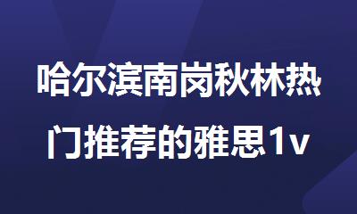 哈尔滨南岗秋林热门推荐的雅思1v1小班辅导机构