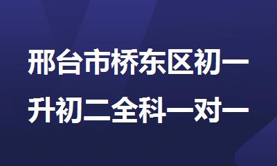 邢台市桥东区初一升初二全科一对一补习班