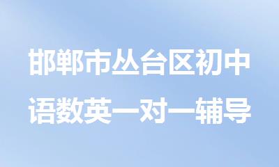 邯郸市丛台区初中语数英一对一辅导补习班