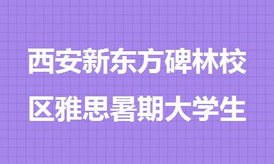 西安新东方碑林校区雅思暑期大学生封闭营