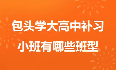 包头学大高中补习小班有哪些班型