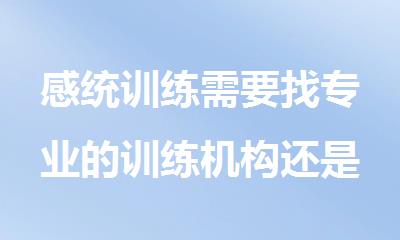感统训练需要找专业的训练机构还是家人自己