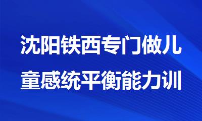 沈阳铁西专门做儿童感统平衡能力训练的是哪些机构
