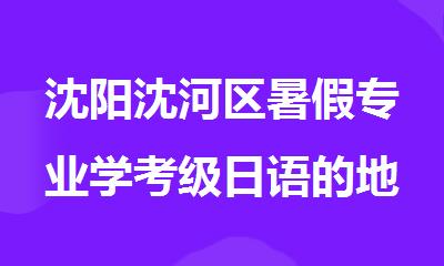 沈阳沈河区暑假专业学考级日语的地方推荐