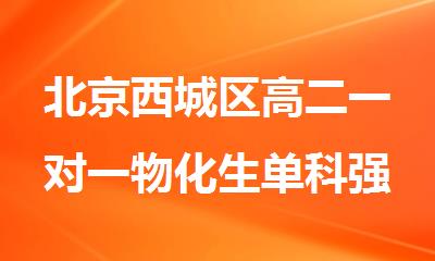 北京西城区高二一对一物化生单科强化补课班