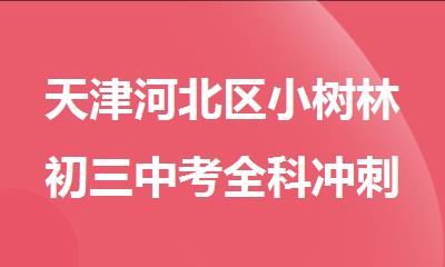 天津河北区小树林初三中考全科冲刺辅导机构
