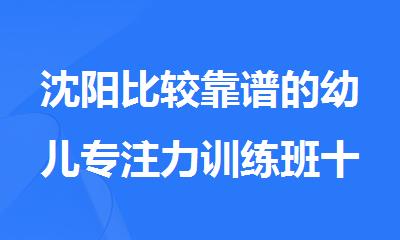 沈阳比较靠谱的幼儿专注力训练班十大排名公布