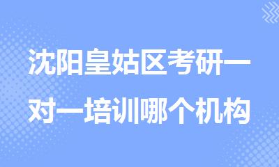 沈阳皇姑区考研一对一培训哪个机构口碑好名单榜首一览