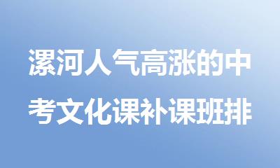 漯河人气高涨的中考文化课补课班排名推荐