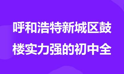 呼和浩特新城区鼓楼实力强的初中全科暑假补习营