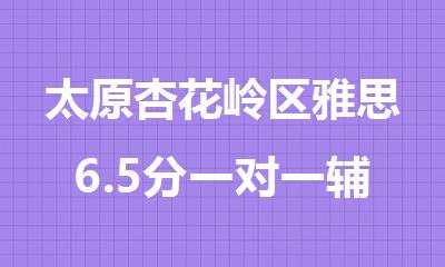 太原杏花岭区雅思6.5分一对一辅导班