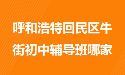 呼和浩特回民区牛街初中辅导班哪家比较好