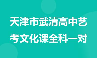 天津市武清高中艺考文化课全科一对一辅导机构排名名单出炉