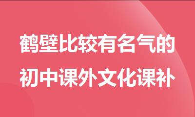 鹤壁比较有名气的初中课外文化课补习机构