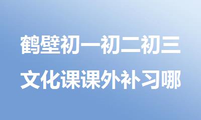 鹤壁初一初二初三文化课课外补习哪里比较好