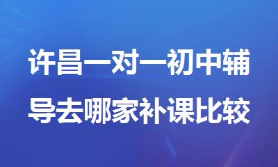 许昌一对一初中辅导去哪家补课比较好