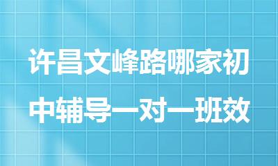 许昌文峰路哪家初中辅导一对一班效果好