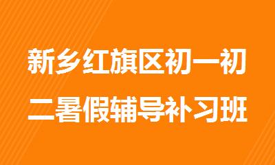 新乡红旗区初一初二暑假辅导补习班哪个好