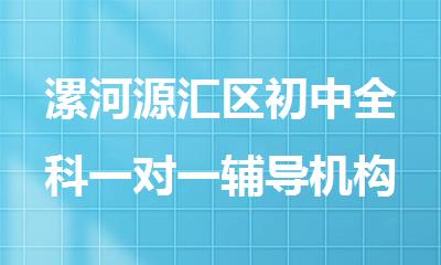 漯河源汇区初中全科一对一辅导机构哪家比较强