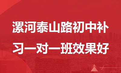 漯河泰山路初中补习一对一班效果好的机构