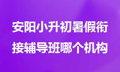 安阳小升初暑假衔接辅导班哪个机构比较好