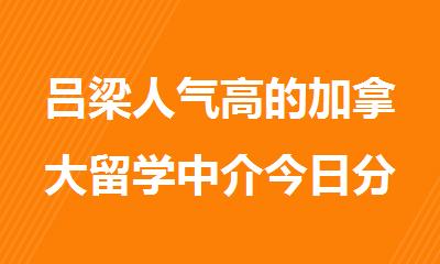 吕梁人气高的加拿大留学中介今日分享