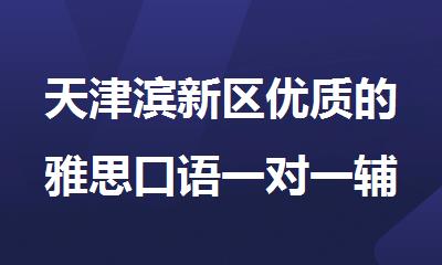 天津滨新区优质的雅思口语一对一辅导机构