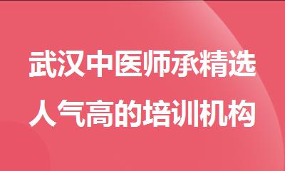 武汉中医师承精选人气高的培训机构名单榜首出炉