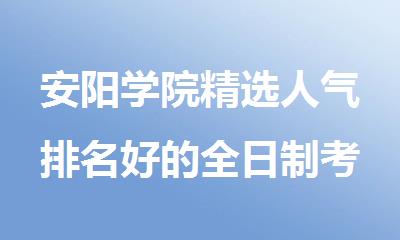 安阳学院精选人气排名好的全日制考研培训机构