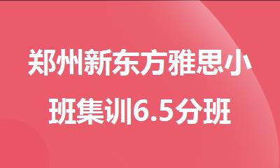 郑州新东方雅思小班集训6.5分班优选推荐