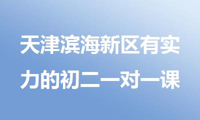 天津滨海新区有实力的初二一对一课外辅导班