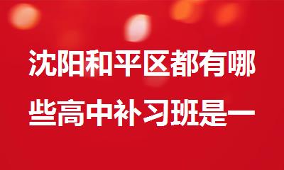 沈阳和平区都有哪些高中补习班是一对一上课的